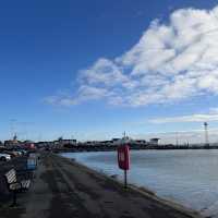 南安普頓Mayflower Park