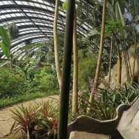 Monteverde butterfly gardens 🦋🦋