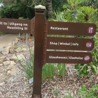 Botanical Garden Stroll 