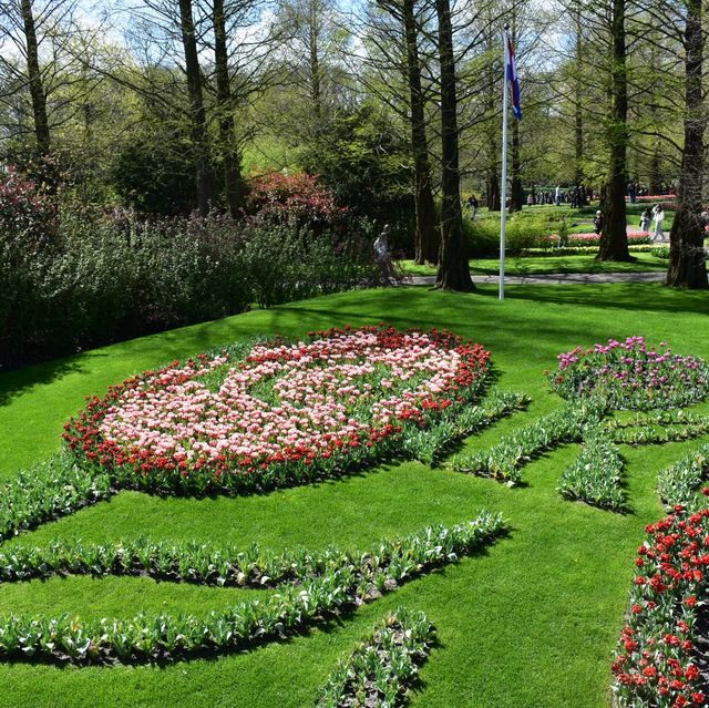 キューケンホフ公園(keukenhof)とてもチューリップが綺麗でした🌷