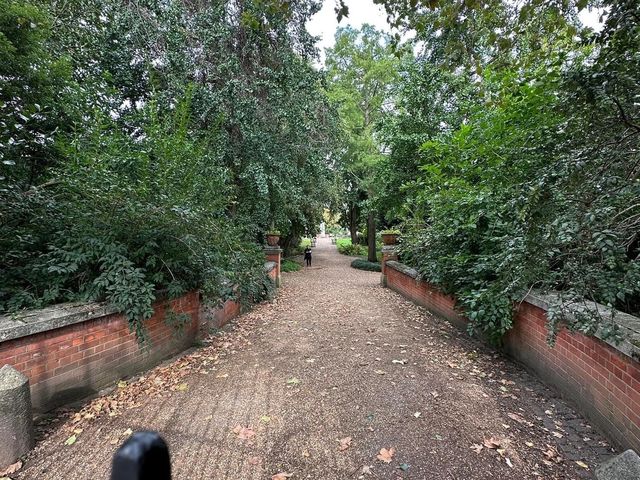 Chelsea Physic Garden 🇬🇧