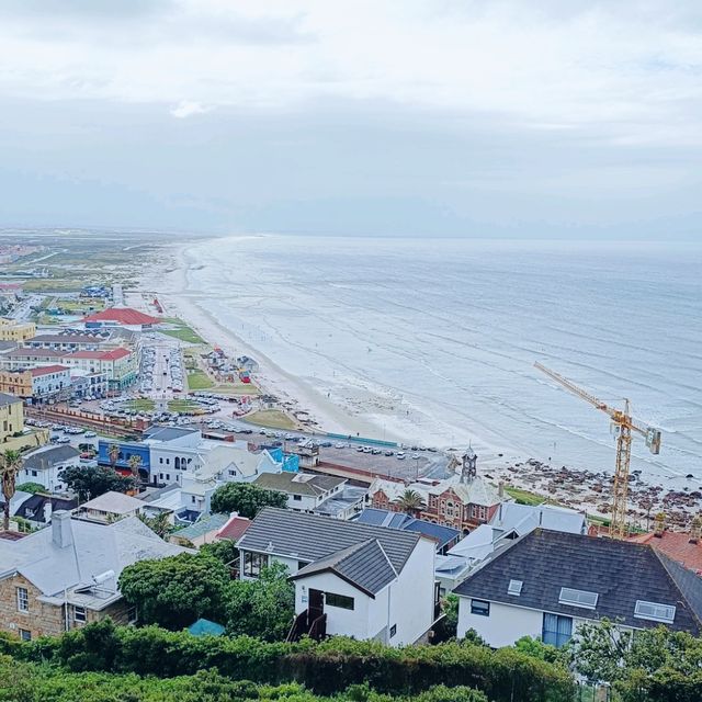 Surf Paradise Muizenberg