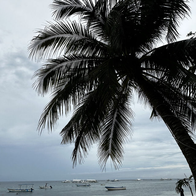 Tastier, beaches and Bohol. 