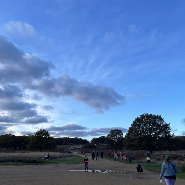 Beautiful park in London, Richmond Park🇬🇧