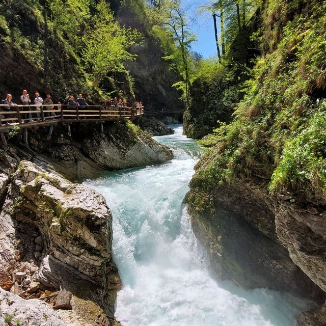 Vintgar Gorge is such a gem!