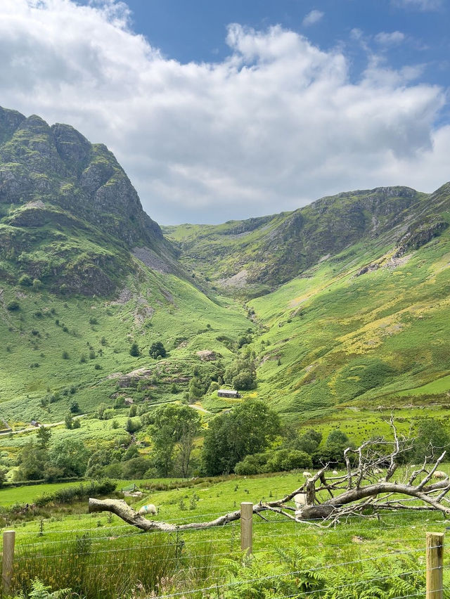 Grasslands of Wales is magical 🇬🇧