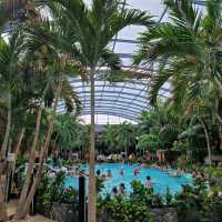 🌴💦 Terme Bucharest: A Day of Relaxation and Fun! 
