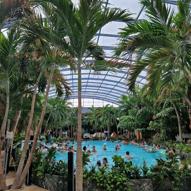 🌴💦 Terme Bucharest: A Day of Relaxation and Fun! 