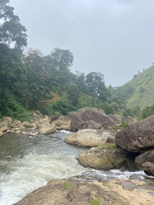 A Journey Through Tea History