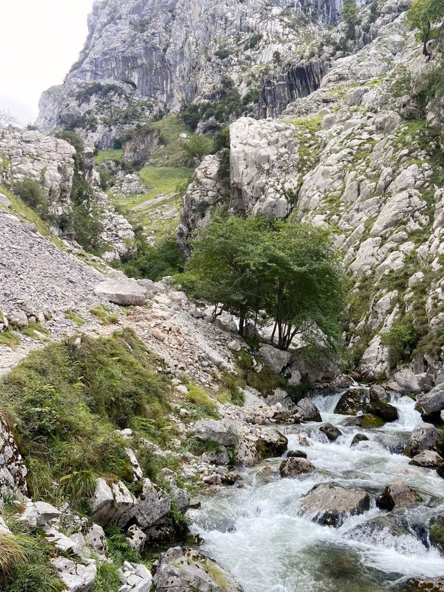 Peaks and Valleys: A Summer Escape to Picos de Europa National Park