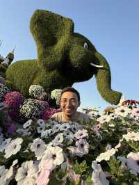 Dubai Miracle Garden: A Floral Wonderland! 🌸✨🇦🇪