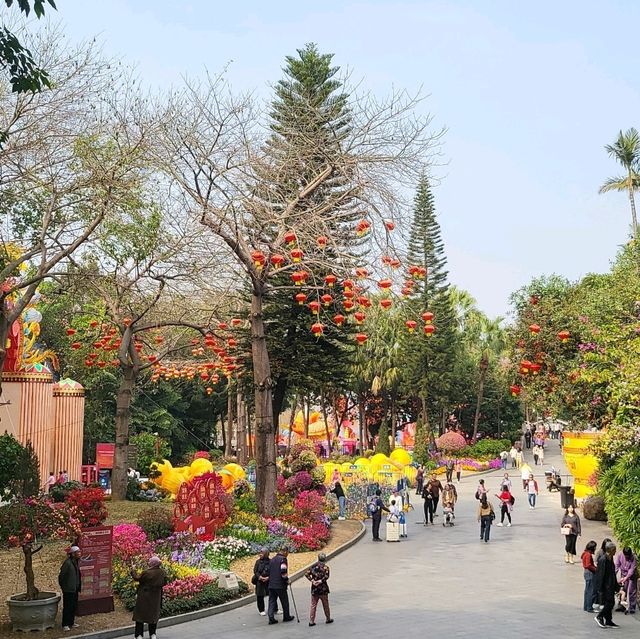 Yuexiu park 🏞 a place for relaxing and meditation❤️