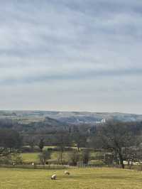 Bamford