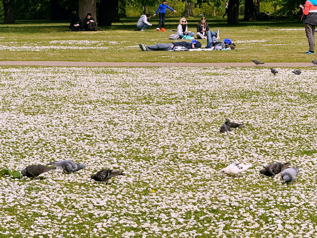 ☀️ London’s Hyde Park - Best Royal Park in Town