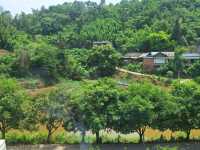 Hidden Gem in Leshan