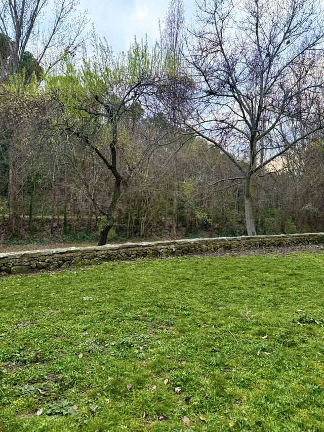 Explorer’s Path to the Castle