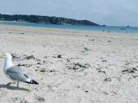 Soft Sand, Clear Water, Zero Stress – St. Brelade’s Bay Has It All