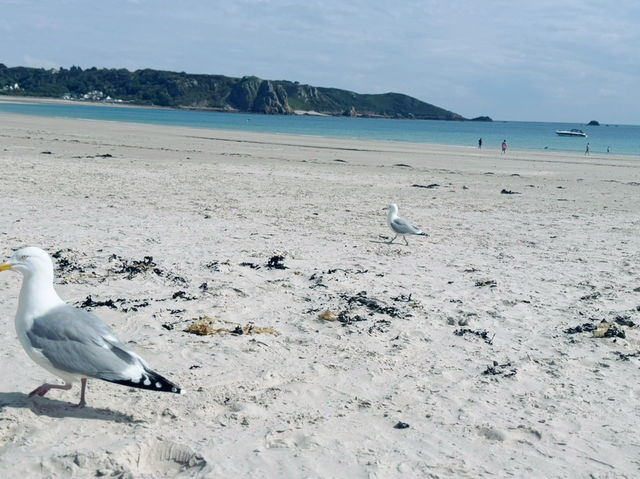 Soft Sand, Clear Water, Zero Stress – St. Brelade’s Bay Has It All