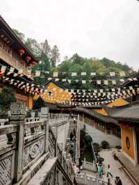 Hangzhou 10 Days Itinerary