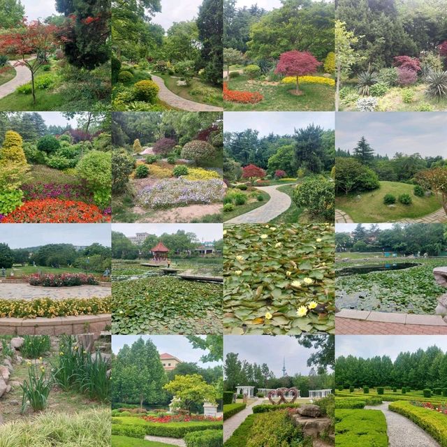 Qingdao 3 days walking itinerary