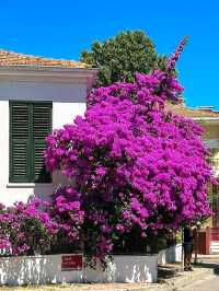 Heybeliada & Büyükada: Tranquil Escapes of the Princes’ Islands