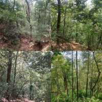 Nanjing, the Zhongshan Mountain National Park is a beautiful national park