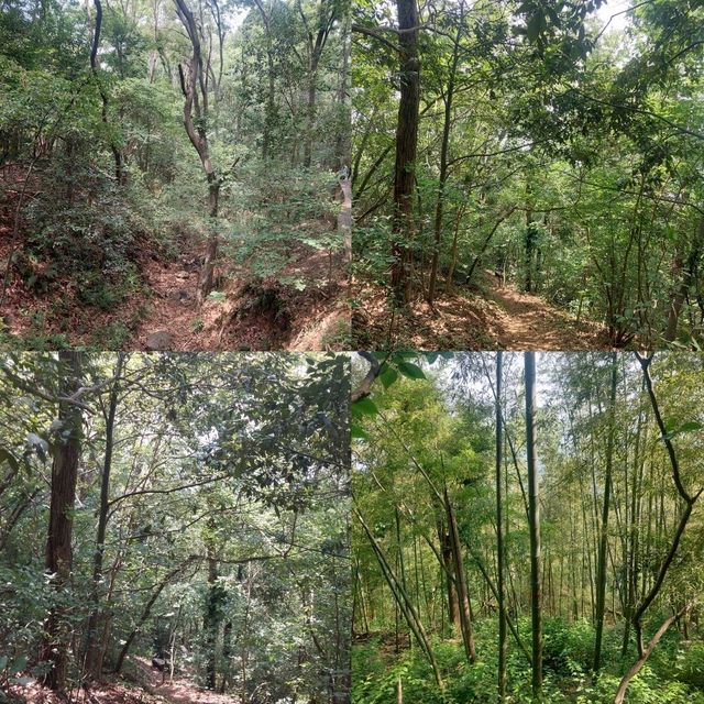 Nanjing, the Zhongshan Mountain National Park is a beautiful national park