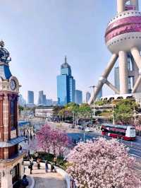 🌆 City of Contrasts and Lights – Shanghai, China