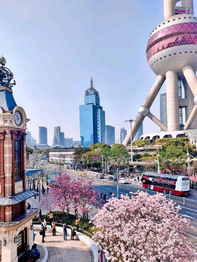 🌆 City of Contrasts and Lights – Shanghai, China