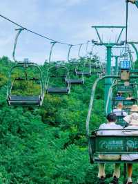 Floating Mountains and Hidden Paths: A Day in Zhangjiajie