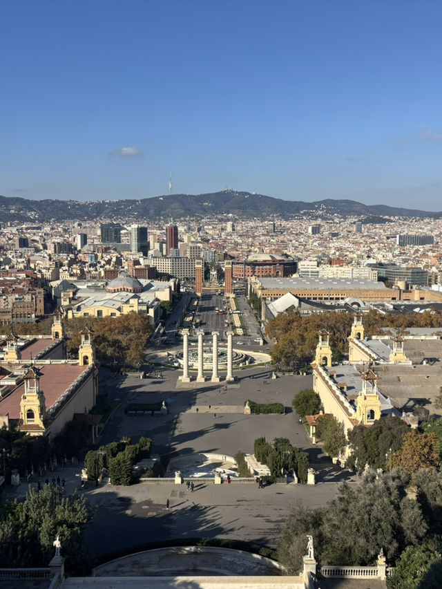 【バルセロナ】⛪️圧巻のアートと眺望に出会える、カタルーニャ国立美術館🎨✨