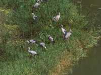 Thung Nham Bird Park: A Hidden Oasis in Tam Coc, Vietnam