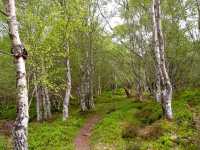 A visit to the shores of Loch Ness 