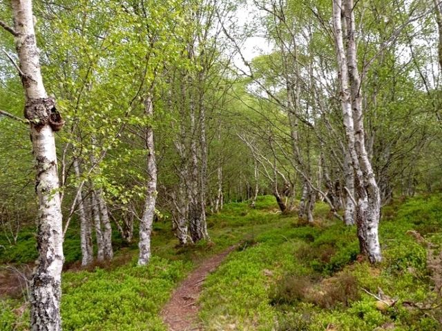 A visit to the shores of Loch Ness 