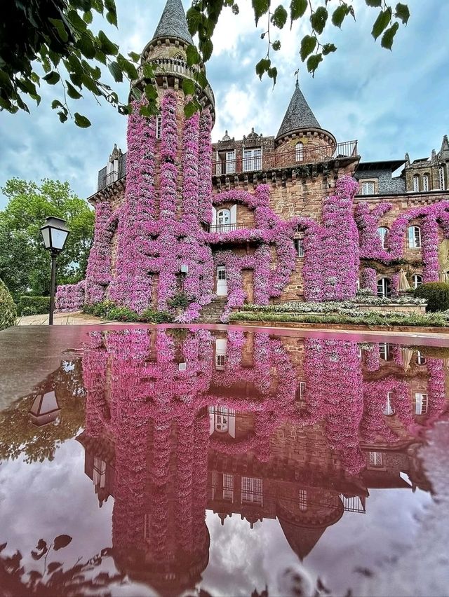 🏰✨ “Romantic Escape: Discovering Château de Castel Novel” 🇫🇷