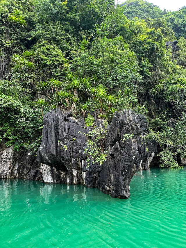 🇻🇳 Hạ Long Bay, Vietnam – A Natural Wonder Worth Every Moment 🌅🚤