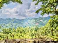 中和圓通寺連走土城清水大尖山
