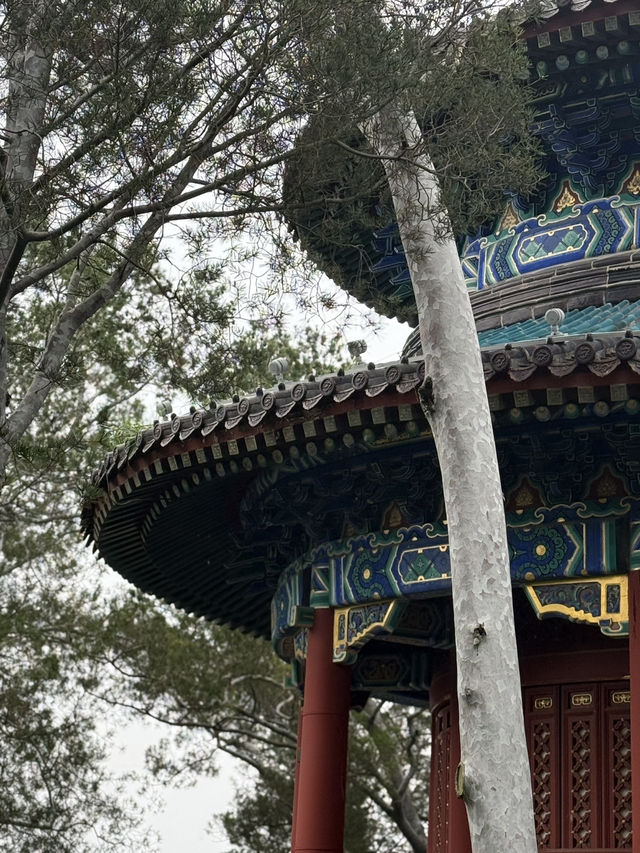 Парк Цзиншань — сердце Пекина с видом на Запретный город! 🏯