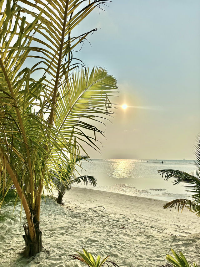Dhiffushi – The Local Island Escape 🌴🌊