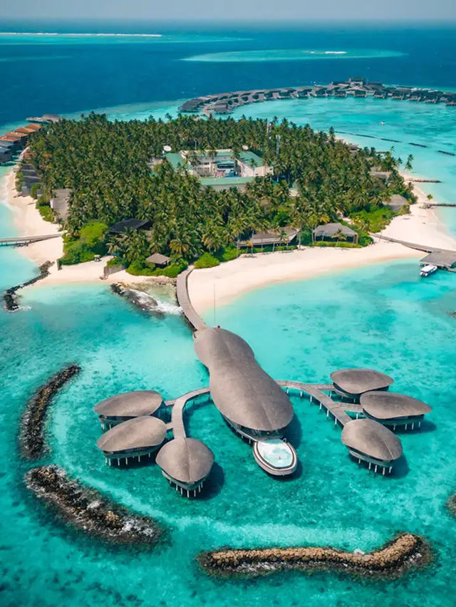 TOP 5 HOTELS IN THE MALDIVES