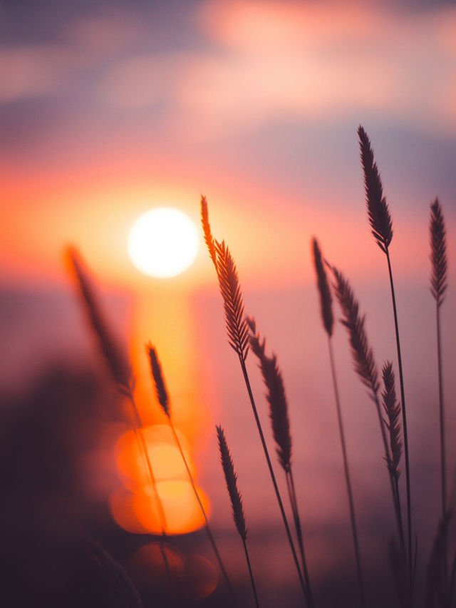 🌇 Low-Cost Sunset Adventures