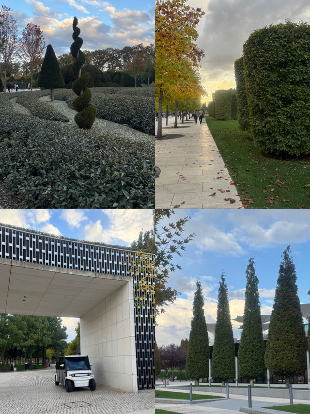 🍁 : I Found Japan in Krasnodar. A Story That Shook My Soul