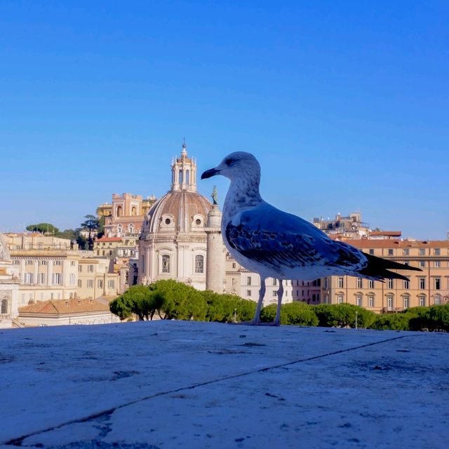 Rome’s Silent Storytellers 🏛️✨