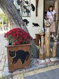 Discovering the Best of Baltic Flavors in Kaliningrad Region ๐๐ฐ