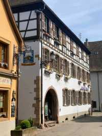 Village Charm Guide🌸