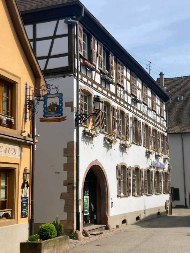 Village Charm Guide🌸