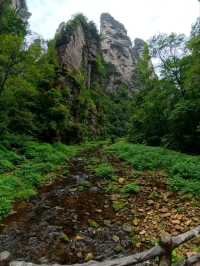 Как Увидеть парк Аватар без толп!