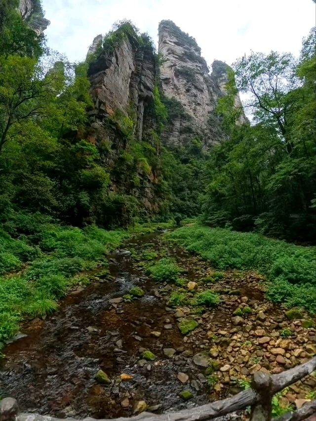 Как Увидеть парк Аватар без толп!