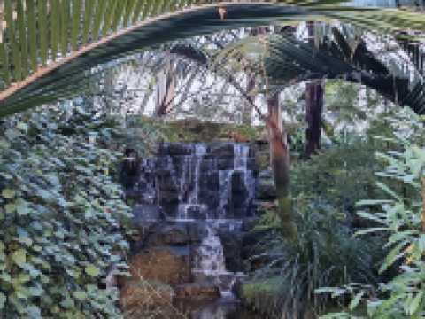 Royal Botanic Gardens, Kew