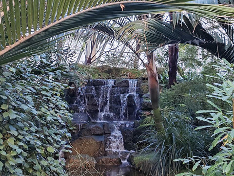 Royal Botanic Gardens, Kew